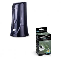 Air Innovations 1.1 Gal. Cool Mist Humidifier with Aromatherapy Refill, Eucalyptus