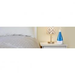 Pure Guardian 0.21 Gal. 10-Hour Ultrasonic Cool Mist Table Top Humidifier -Air Quality Shop blues humidifiers h920bl 1f 1000