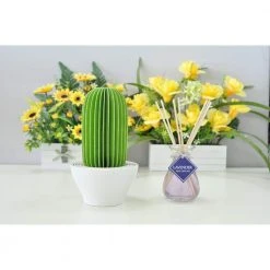 Unbranded 129 sq.ft. Nanum Cactus Non-Electric Personal Humidifier in Light Green 12 Unbranded 129 sq.ft. Nanum Cactus Non-Electric Personal Humidifier in Light Green -Air Quality Shop greens humidifiers c101 gre 1f 1000