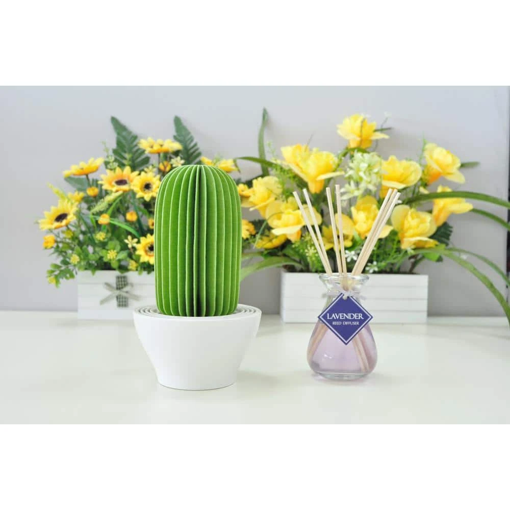 Unbranded 129 sq.ft. Nanum Cactus Non-Electric Personal Humidifier in Light Green 6 Unbranded 129 sq.ft. Nanum Cactus Non-Electric Personal Humidifier in Light Green - Image 4