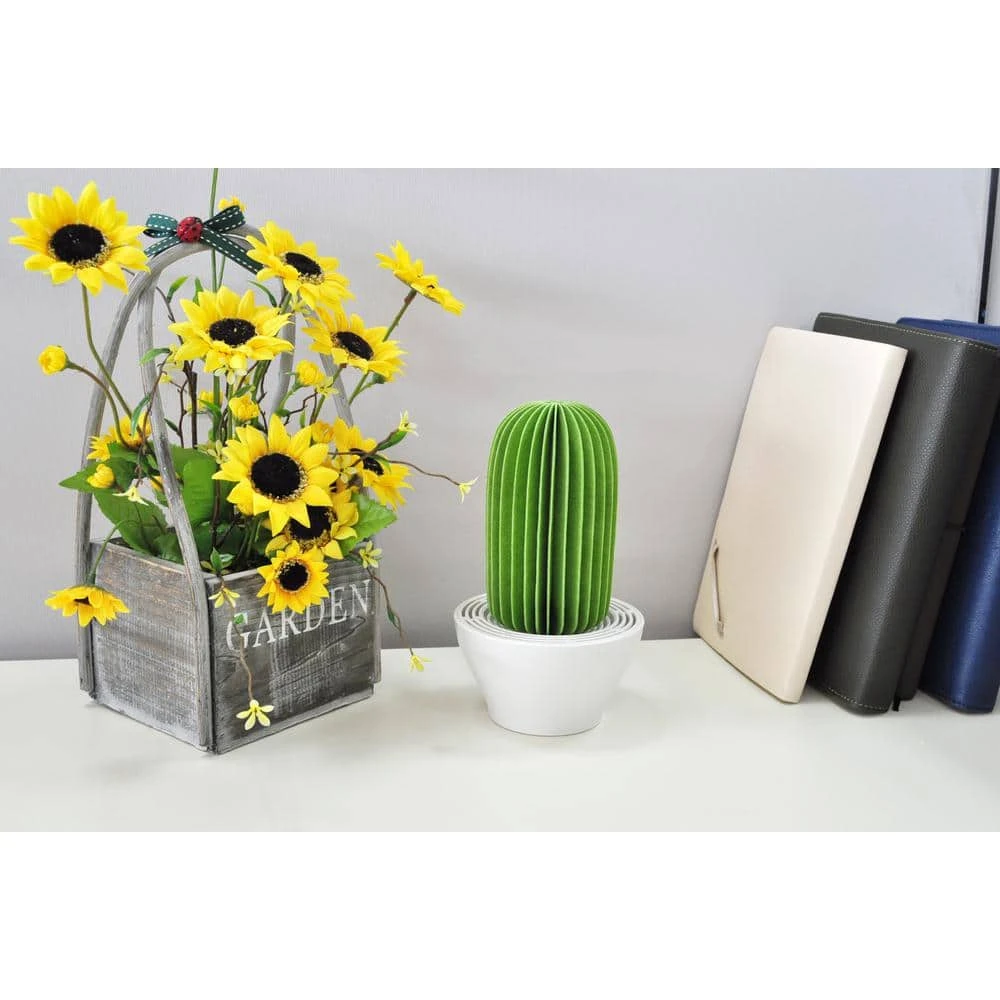 Unbranded 129 sq.ft. Nanum Cactus Non-Electric Personal Humidifier in Light Green 7 Unbranded 129 sq.ft. Nanum Cactus Non-Electric Personal Humidifier in Light Green - Image 5