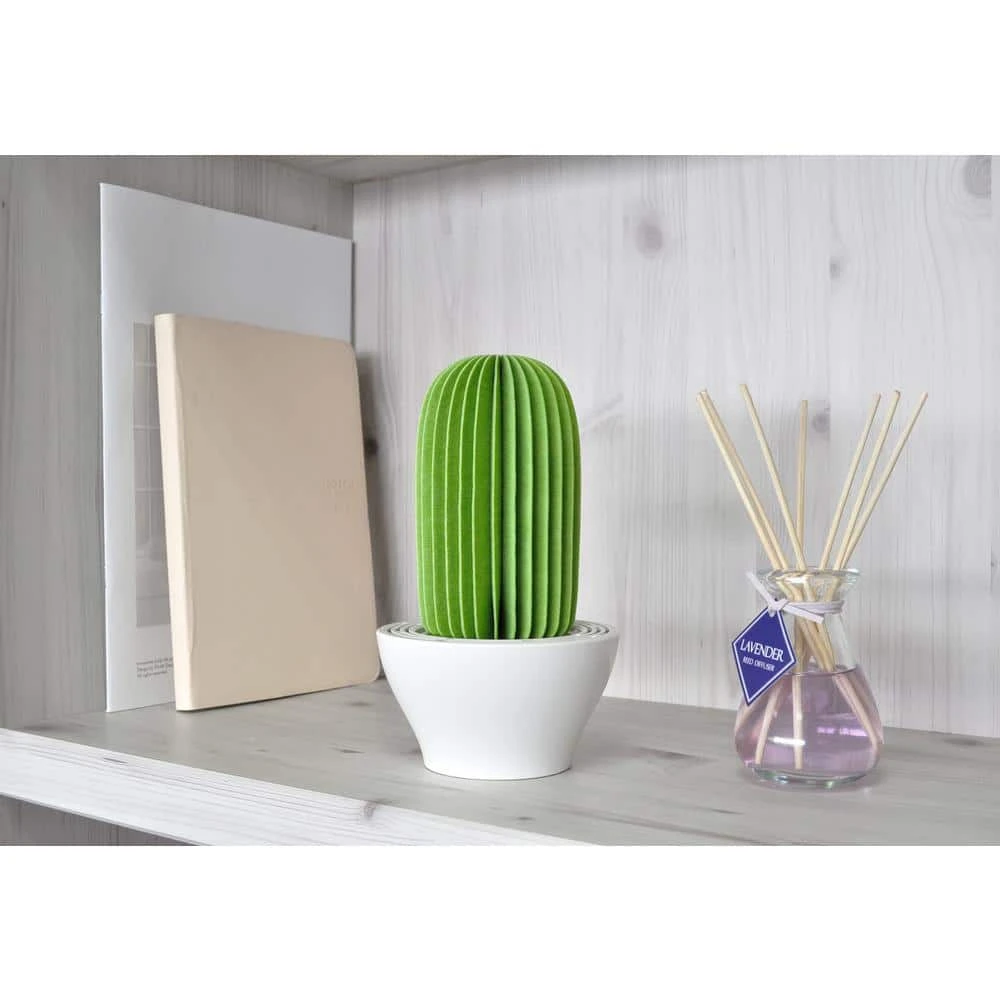 Unbranded 129 sq.ft. Nanum Cactus Non-Electric Personal Humidifier in Light Green 5 Unbranded 129 sq.ft. Nanum Cactus Non-Electric Personal Humidifier in Light Green - Image 3