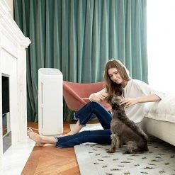 Coway Airmega Tower True HEPA Air Purifier with 330 sq.ft. Coverage -Air Quality Shop whites coway air purifiers ap 1216l 31 1000