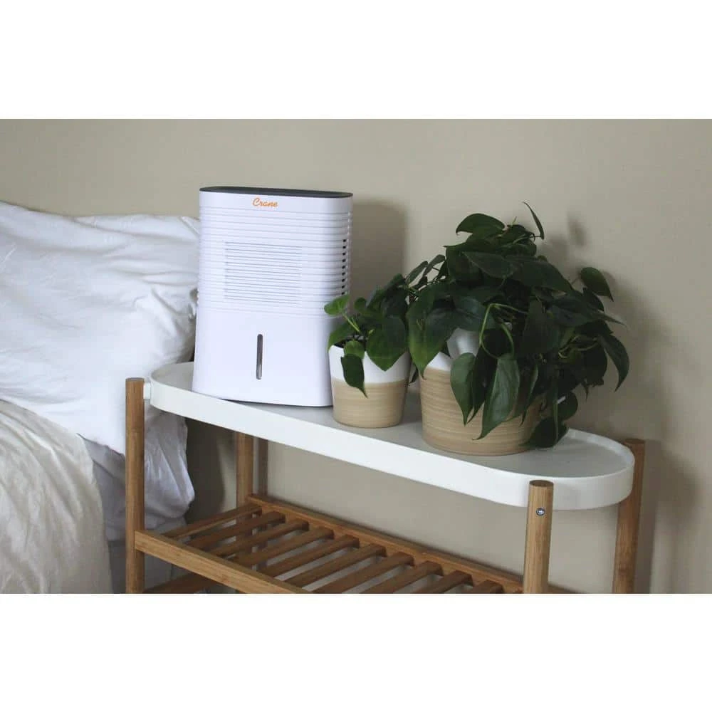 Crane 4 Pint Compact Dehumidifier with 2 Settings for Small to Medium Rooms up to 300 sq.ft. 8 Crane 4 Pint Compact Dehumidifier with 2 Settings for Small to Medium Rooms up to 300 sq.ft. - Image 6
