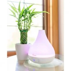 Crane 0.35 Gal. 2-in-1 Ultrasonic Cool Mist Humidifer & Aroma Diffuser for Small Rooms up to 200 sq. ft. -Air Quality Shop whites crane humidifiers ee 5953ad 4f 1000